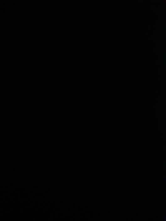 Si no nos preocupamos por la seguridad todo se volvera negro